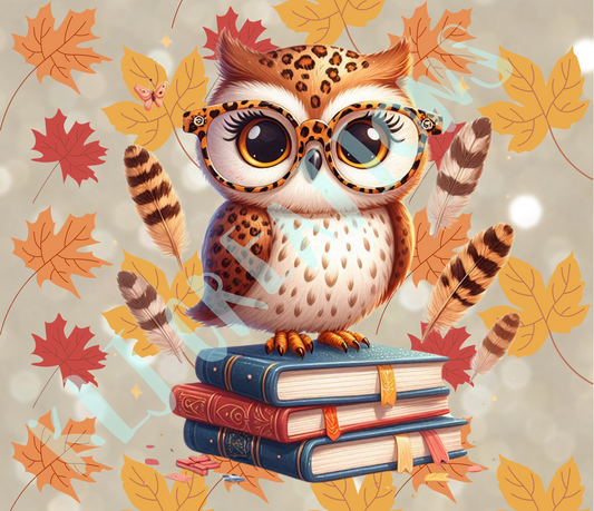 Smart Cheetah Owl