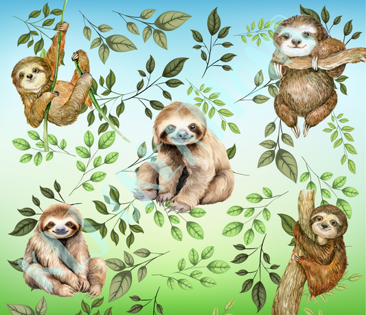 Sloth & Vines