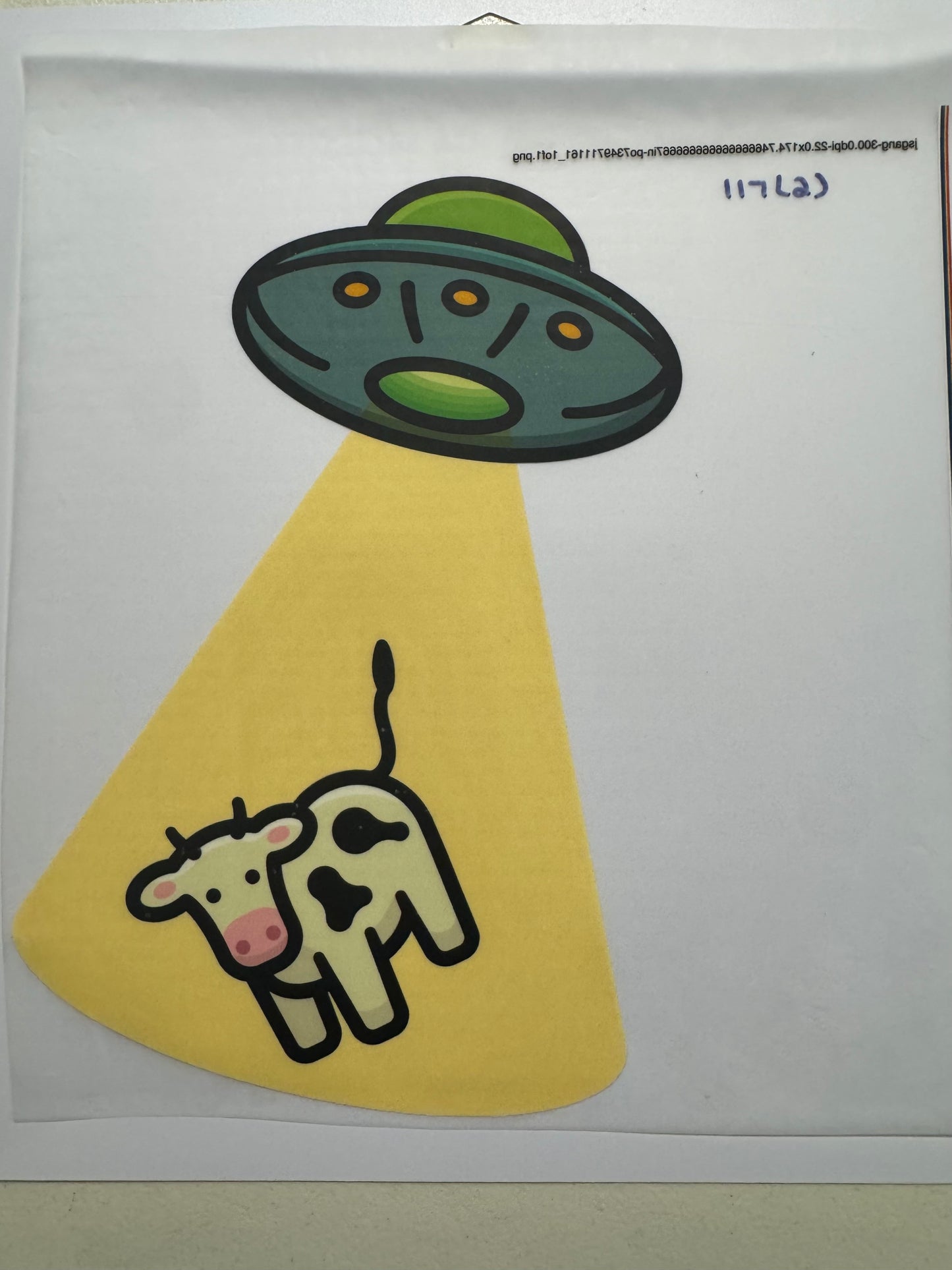 Cow Prints